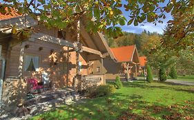 Mountain Inn Chalets&apartments Walchsee  Österreich